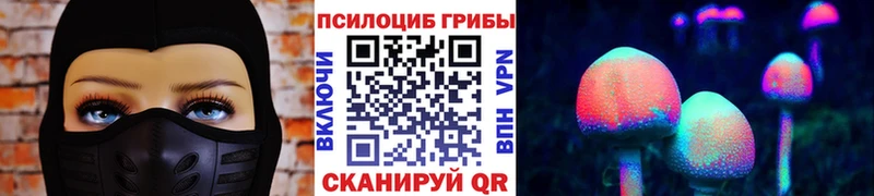 Галлюциногенные грибы прущие грибы  kraken ссылки  Егорьевск 