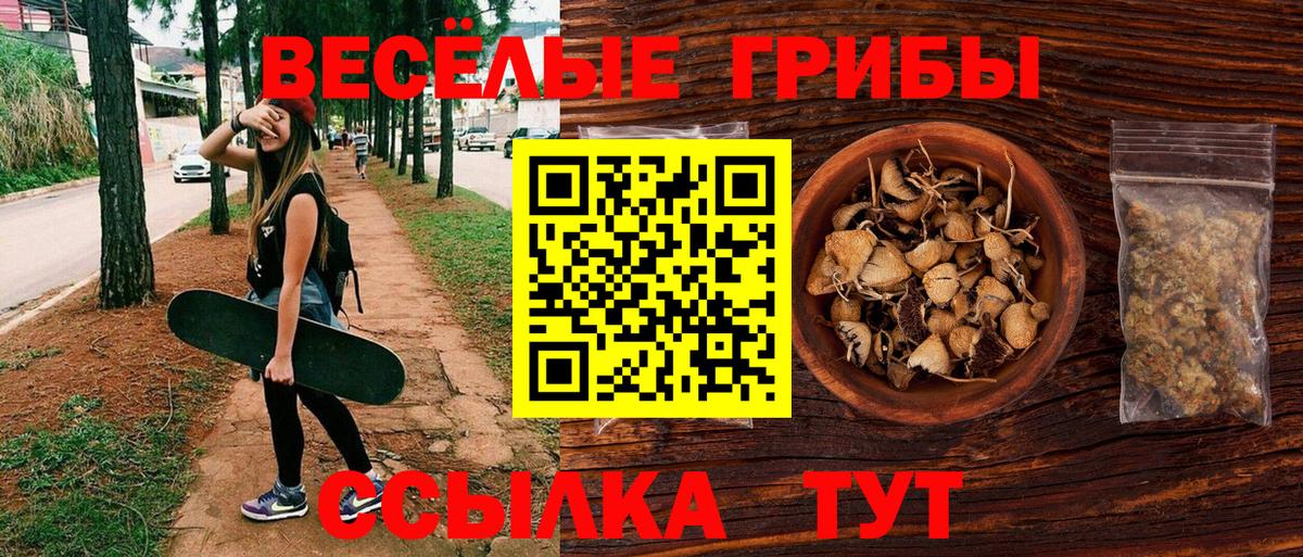 Галлюциногенные грибы GOLDEN TEACHER  Вход с VPN  Егорьевск  Псилоцибиновые грибы мицелий 